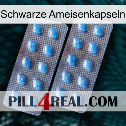 Black Ant Capsules viagra4